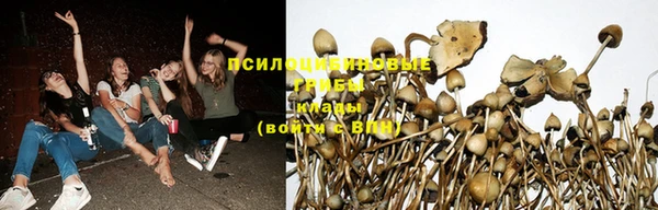 соль ск Абинск