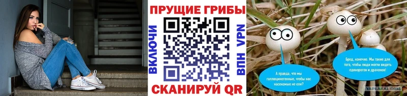 Псилоцибиновые грибы Magic Shrooms  Александровск-Сахалинский 